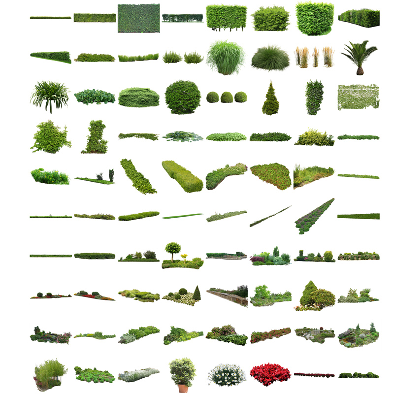 Cutout Plants V02 – Plants Entourage for Architecture Illustrations