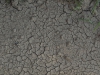 Ground-Nature_Texture_A_P7023887