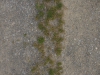 Ground-Nature_Texture_A_P8174449