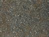 Ground-Nature_Texture_A_P8214564