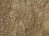 Ground-Nature_Texture_A_P9195031
