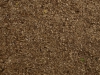 Ground-Nature_Texture_A_PA039924