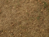 Ground-Nature_Texture_A_PA039928