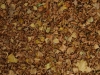 Ground-Nature_Texture_A_PA250543