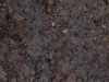 Ground-Nature_Texture_A_PC217943