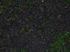 Ground-Nature_Texture_A_PC258292