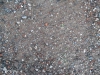 Ground-Nature_Texture_B_00767