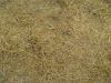 Ground-Nature_Texture_B_00933