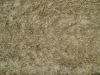 Ground-Nature_Texture_B_01020