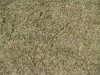 Ground-Nature_Texture_B_01022