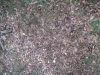 Ground-Nature_Texture_B_01028