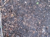 Ground-Nature_Texture_B_02792