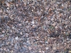 Ground-Nature_Texture_B_02808