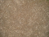 Ground-Nature_Texture_B_0788