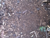 Ground-Nature_Texture_B_0884