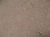 Ground-Nature_Texture_B_1089