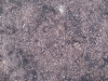 Ground-Nature_Texture_B_1092