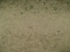 Ground-Nature_Texture_B_2122