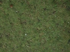 Ground-Nature_Texture_A_PA035635
