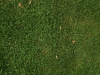 Ground-Nature_Texture_A_PA039929