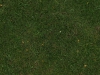Ground-Nature_Texture_A_PA045711