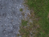 Ground-Nature_Texture_A_PA045779