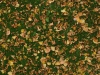Ground-Nature_Texture_A_PA250541