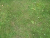 Ground-Nature_Texture_B_00849