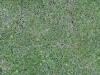 Ground-Nature_Texture_B_00869