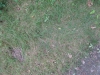 Ground-Nature_Texture_B_01037