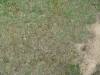 Ground-Nature_Texture_B_2115