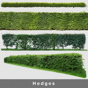 Cutout Plants V02 – Plants Entourage for Architecture Illustrations