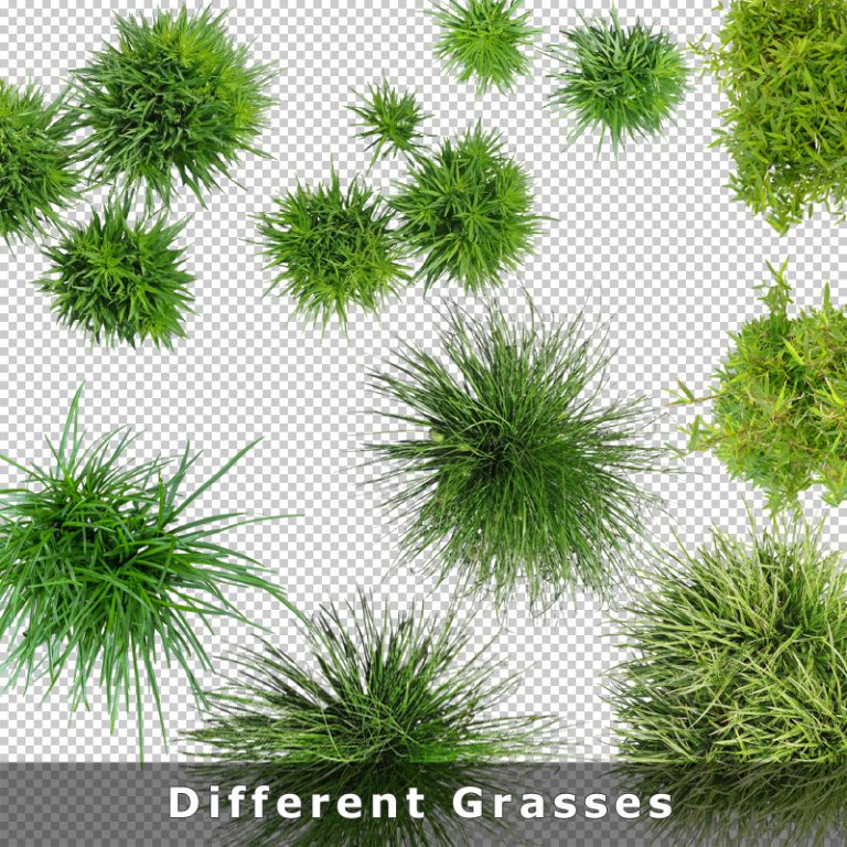 Top View Plants 02 – 2D Plant Entourage for Architecture Illustration .PNG